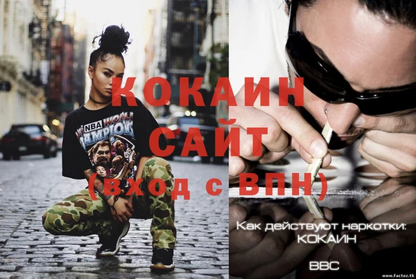 СК Каменск-Шахтинский