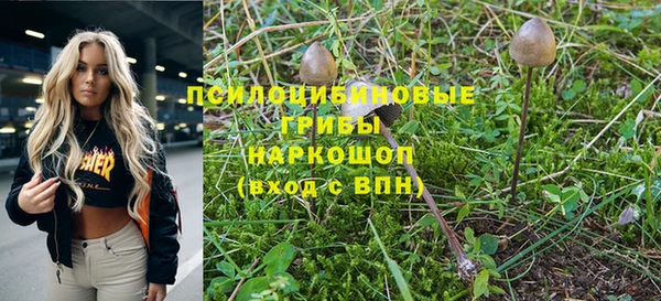 СК Каменск-Шахтинский