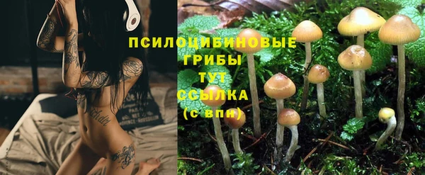гашиш Каменка