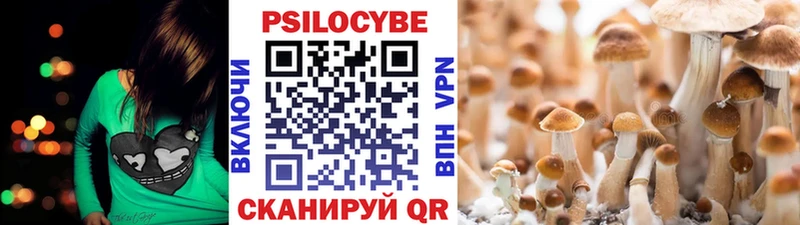 Псилоцибиновые грибы Psilocybine cubensis Купить Губаха